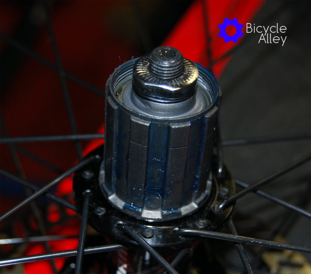 The new freehub has grease applied to the splines to help prevent corrosion.