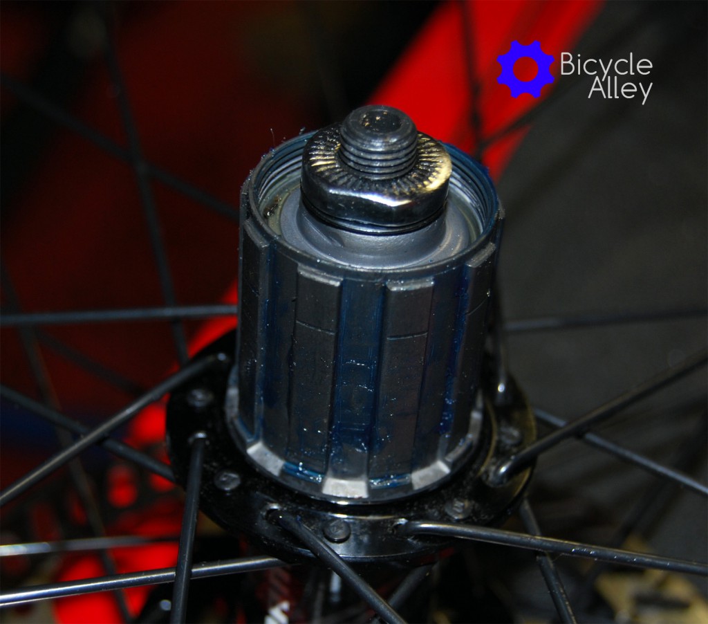 The new freehub has grease applied to the splines to help prevent corrosion.